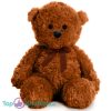 Teddybeer Polly (Bruin met Donkerbruine Strik) Pluche Knuffel 30 cm