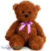 Teddybeer Polly (Bruin met Roze Strik) Pluche Knuffel 30 cm