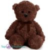 Teddybeer Polly (Donkerbruin met Bruine Strik) Pluche Knuffel 30 cm