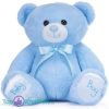 Baby Boy Teddybeer Blauw Pluche Knuffel (Kraamcadeau Jongen) 30 cm