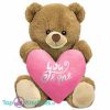 Teddybeer Tubby Bruin met Roze Hart Pluche Knuffel 30 cm