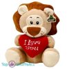 Leeuw met Hart I Love You Pluche Knuffel 23 cm