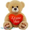 Teddybeer Fien met Rood Hart Love Pluche Knuffel 20 cm