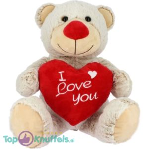 Teddybeer Grijs met Rood I Love You Hart Pluche Knuffel 24 cm