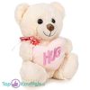 Teddybeer Wit met Hart Hug Pluche Knuffel 30 cm