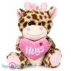 Giraffe met Hart Hugs Pluche Knuffel 30 cm