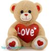 Teddybeer Lily (Bruin met Rood Hart Love) Pluche Knuffel 25 cm