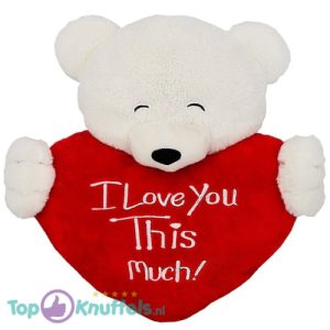 Teddybeer Hoofd met Rood Hart "I Love You This Much!" Pluche Knuffel 20 cm