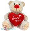 Teddybeer Grijs met Rood Hart I Love You Pluche Knuffel 35 cm