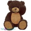 Teddybeer Barry (Bruin/Beige) Pluche Knuffel XXL 100 cm