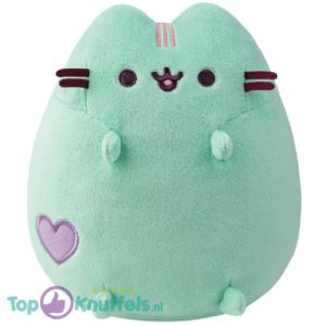 Pusheen Mint Pastel Pluche Knuffel Kat 20 cm