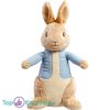 Peter Rabbit/Pieter Konijn (Lichtblauw) Pluche Knuffel 25 cm